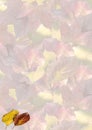 Autumn leaves background