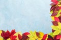 Autumn leaves background border top view. Copy space for text. Royalty Free Stock Photo