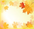 Autumn Leaves Background Frame