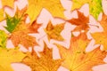 Autumn leaves background, maple leaves texture, yellow leaf pattern, fall season, abstract wallpaper, modern decoration, art Royalty Free Stock Photo