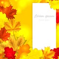 Autumn leaves background