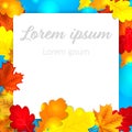 Autumn leaves background