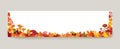 Autumn leaves background. Season floral horizontal wallpaper. Fall leaf nature banner sale design Royalty Free Stock Photo