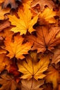 Autumn Leaves Background. Seasonal Fall Leaves backdrop. Autumnal natural wallpaper. Orange maple leaves. AI Generated