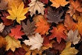 Autumn Leaves Background. Seasonal Fall Leaves backdrop. Autumnal natural wallpaper. Orange maple leaves. AI Generated