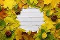 Autumn leaves background shape round Royalty Free Stock Photo