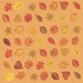 Autumn leaves background