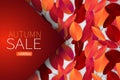 Autumn leaves background wallpaper. Fall season concept with a banner for text over it. Sale design template. Royalty Free Stock Photo