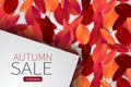 Autumn leaves background wallpaper. Fall season concept with a banner for text over it. Sale design template. Royalty Free Stock Photo