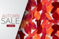 Autumn leaves background wallpaper. Fall season concept with a banner for text over it. Sale design template. Royalty Free Stock Photo