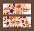 Autumn leaves banner design template Royalty Free Stock Photo