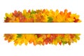 Autumn leaves banner Fall background Royalty Free Stock Photo