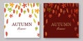 Autumn leaves banners set with white and burgundy fall background vector illustration. Yellow, orange, green, brouchure