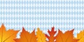 Autumn leaves on bavaria flag texture background