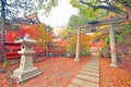 Autumn leaves in Bentendo of Bishamondo Temple Royalty Free Stock Photo