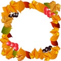 Autumn leaves, berries, currants and cherries