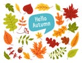 Autumn leaves berries hand drawn cartoon set vector