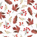 Autumn leaves and berries pattern. Vector watercolor fall background