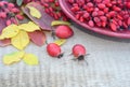 Autumn leaves berries rose hips and a Cup with berries of barberry on a wooden Board Royalty Free Stock Photo