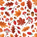 Autumn leaves and berries vector seamless pattern. Fall season foliage with acorns wallpaper design. Red ashberries Royalty Free Stock Photo