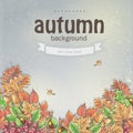 Autumn leaves and berries of viburnum, acorns and chestnuts