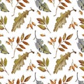 Autumn leaves and berries on a white background. Watercolor pattern.