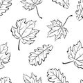 Autumn leaves black and white pattern. Vector illustration of falling leaves of oak and maple.