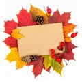 Autumn Leaves and Blank Notecard Royalty Free Stock Photo