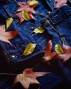 Autumn leaves blanket a blue jean jacket