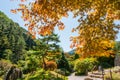 Autumn leaves with blue sky background Royalty Free Stock Photo