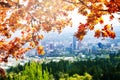 Autumn leaves and blurred Panorama of Portland Royalty Free Stock Photo