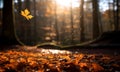 Autumn leaves and blurry trees in the forest. Seasonal banner with autumn maple foliage. Autumn background. Copy space.
