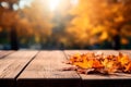 Autumn leaves and blurry trees in the park. Seasonal banner with autumn foliage. Autumn background. Copy space