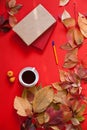 Autumn leaves book coffee cup on a red background Royalty Free Stock Photo