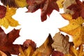 Autumn leaves border frame with black background