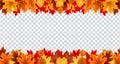 Autumn leaves border frame with space text on transparent background. Can be used for thanksgiving, harvest holida Royalty Free Stock Photo