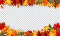 Autumn leaves border frame with space text on transparent background. Can be used for thanksgiving, harvest holida Royalty Free Stock Photo