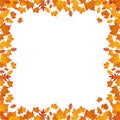 Autumn leaves border isolated on white background Royalty Free Stock Photo