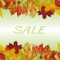 Autumn leaves border sale text background Royalty Free Stock Photo