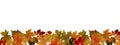 Autumn leaves border Royalty Free Stock Photo