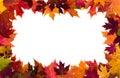 Autumn leaves border on white background Royalty Free Stock Photo