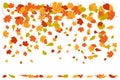 Autumn leaves borders. Nature design elements set. Fall maple leaves for decoration Royalty Free Stock Photo