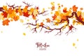 Autumn nature branch Royalty Free Stock Photo