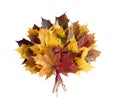 Autumn leaves bouquet isolated on white background Royalty Free Stock Photo