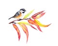 Autumn leaves on branch with bird. Water color