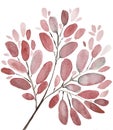 Autumn leaves and branches watercolor illustration background. Hand painted floral elements set. Watercolor botanical illustration Royalty Free Stock Photo