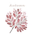 Autumn leaves and branches watercolor illustration background. Hand painted floral elements set. Watercolor botanical illustration Royalty Free Stock Photo