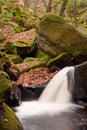 Autumn leaves and Burbage Brook in Padley Gorge in Peak District Royalty Free Stock Photo