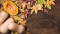 autumn leaves butter squash copy space. High quality photo