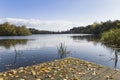 Autumn leaves on a calm lake